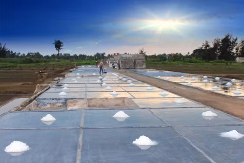 Trời càng nắng, diêm dân Quỳnh Lưu càng mừng vì hiệu quả sản xuất cao ảnh 1