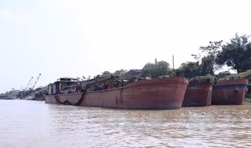 Bắt giữ 14 tàu khai thác, vận chuyển cát trái phép trên sông Hồng ảnh 1