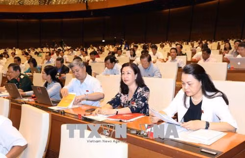  Quan điểm khác nhau về bổ sung hình thức tố cáo qua điện thoại, thư điện tử ảnh 2