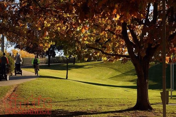 Quyến rũ mùa thu Canberra ảnh 8