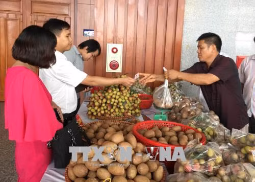 Hưng Yên kết nối cung cầu, xúc tiến tiêu thụ sản phẩm vùng nông thôn ảnh 1