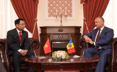 Moldova luôn trân trọng quan hệ hữu nghị truyền thống với Việt Nam ảnh 1