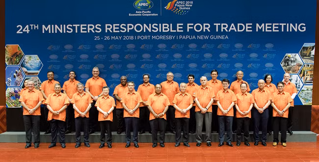 Bộ trưởng thương mại APEC không đạt thỏa thuận về hệ thống thương mại đa phương ảnh 1
