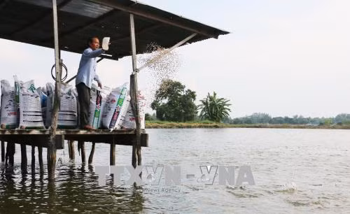 Lão nông tích cực tham gia công tác từ thiện xã hội ảnh 2