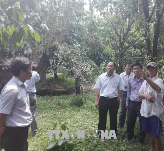 Tâm huyết 'xây dựng nông thôn mới phải thực sự mới và bền vững' ảnh 1