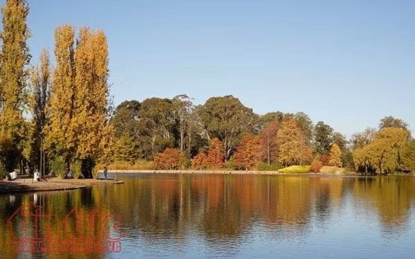 Quyến rũ mùa thu Canberra ảnh 3