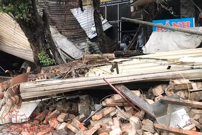 Mưa dông, cây xanh bật gốc ngã đè trúng xe ô tô ảnh 3