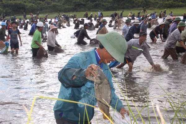 Độc đáo lễ hội đánh bắt cá Đồng Hoa ảnh 8
