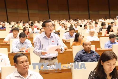  Quan điểm khác nhau về bổ sung hình thức tố cáo qua điện thoại, thư điện tử ảnh 3