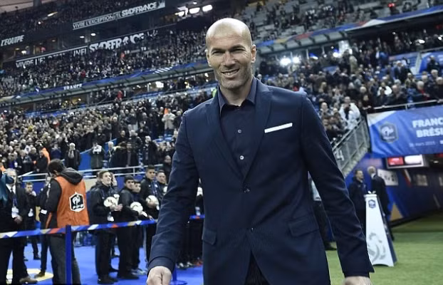 Năm ngọt ngào của Zinedine Zidane ảnh 1