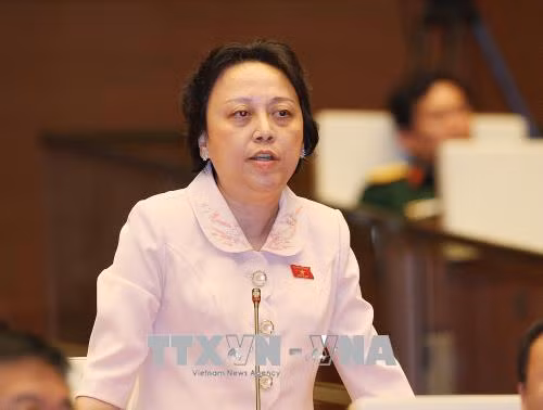 Nhiều đại biểu Quốc hội quan tâm vụ xét xử bác sĩ Hoàng Công Lương ảnh 3