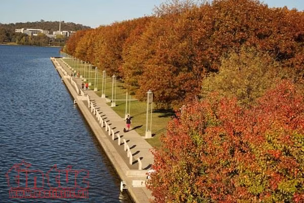 Quyến rũ mùa thu Canberra ảnh 2