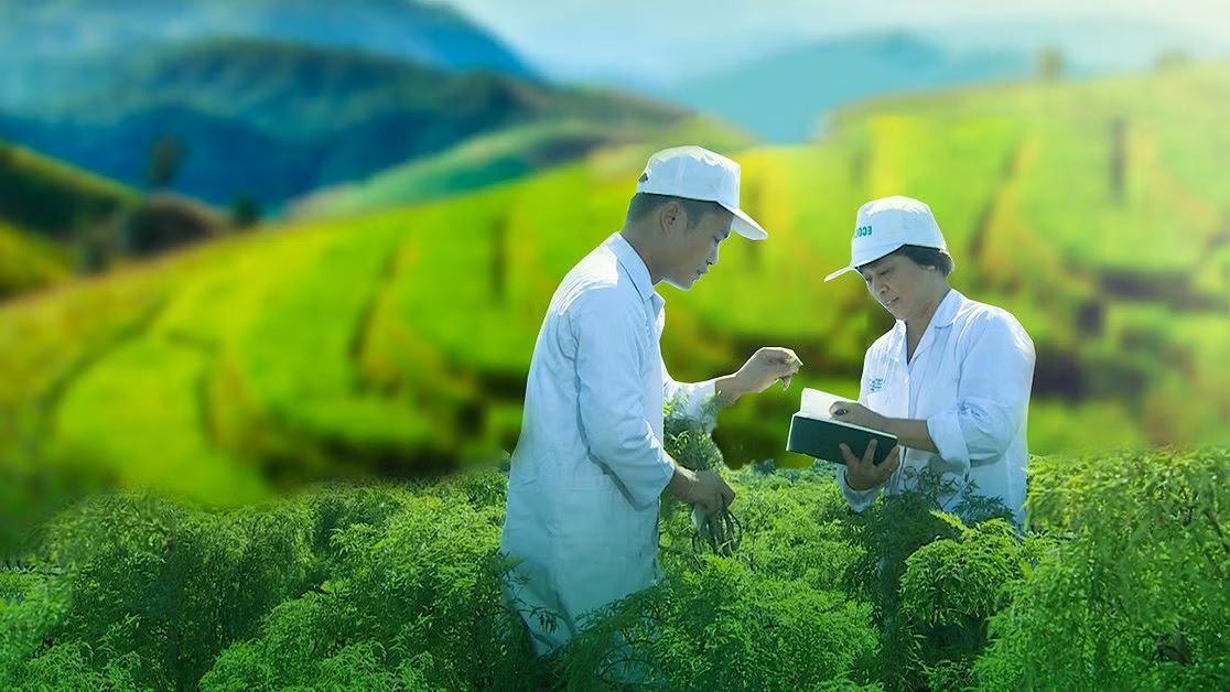 Khuyến khích doanh nghiệp công bố thông tin về sự phát triển bền vững ảnh 1