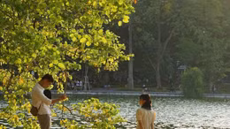 Mùa thu trong lòng phố