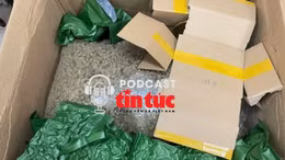 Tin nóng trong nước nghe nhanh sáng 20/2