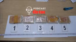 Tin nóng trong nước nghe nhanh sáng 1/7