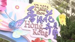 Ấn tượng Triển lãm hoa Hong Kong (Trung Quốc) 2025