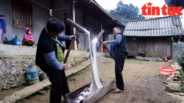 Giã bánh dày, nét văn hóa đặc sắc trong dịp lễ, tết của người Mông 