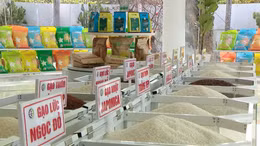 Tháng 1/2025, xuất khẩu hàng Việt Nam sang Mỹ đạt hơn 10 tỷ USD