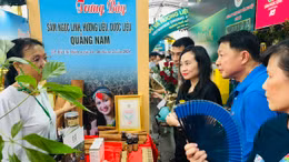 Đặc sắc Lễ hội sâm và hương liệu, dược liệu quốc tế TP Hồ Chí Minh 