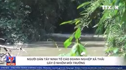  Tây Ninh: Người dân 'tố' doanh nghiệp xả thải gây ô nhiễm 