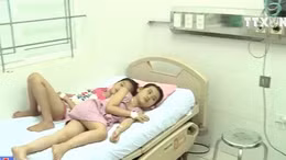 13 trẻ tiểu học nhập viện do ăn hạt quả ngô đồng