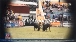 Loại bỏ những lễ hội bạo lực