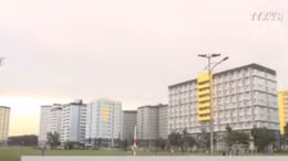 Kiến ba khoang hoành hành ký túc xá