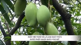 Loại quả thứ 6 của Việt Nam được phép nhập khẩu vào Mỹ