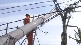 Hệ thống lưới điện Quảng Bình tan hoang sau bão số 10