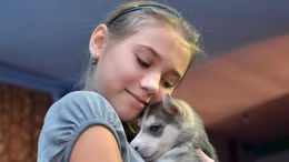 Tổng thống Putin tặng cún husky làm quà năm mới 