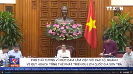 Tạm dừng triển khai quy hoạch Sơn Trà để tiếp thu ý kiến