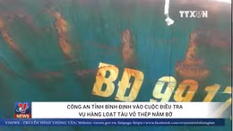 Công an tỉnh Bình Định vào cuộc điều tra vụ hàng loạt tàu vỏ thép nằm bờ