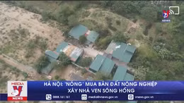 Hà Nội: 'Nóng' mua bán đất nông nghiệp xây nhà ven sông Hồng