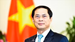 Tân Bộ trưởng Bộ Ngoại giao Bùi Thanh Sơn đưa ra bốn ưu tiên ngoại giao trong nhiệm kỳ tới