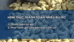 Cảnh báo hình thức thanh toán rủi ro khi giao thương quốc tế