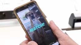 Động vật bị bỏ rơi ở Đức tìm kiếm 'tình yêu' trên ứng dụng hẹn hò Tinder