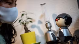 Robot 'thú cưng' giúp người Nhật Bản bớt cô đơn trong dịch COVID-19