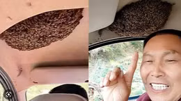 Hàng trăm con ong làm tổ trong ô tô, chủ xe vẫn lái đi làm hàng ngày