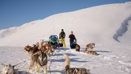 Cuộc đua quyết liệt của hàng trăm chú chó kéo xe trượt tuyết tại dãy Alps
