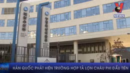 Hàn Quốc phát hiện trường hợp tả lợn châu Phi đầu tiên