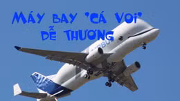 Đột nhập xưởng lắp ráp máy bay Airbus 'Cá voi' Beluga 