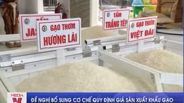 Đề nghị bổ sung cơ chế quy định giá sàn xuất khẩu gạo