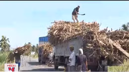Kêu gọi doanh nghiệp tham gia bình ổn giá đường