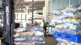 Xuất khẩu gạo đạt 2,62 tỷ USD