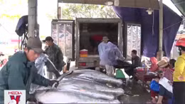 EU áp thêm quy định mới với thủy sản Việt Nam