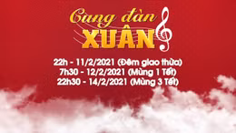 Chương trình đặc biệt Tết Tân Sửu của VNews tối Giao thừa