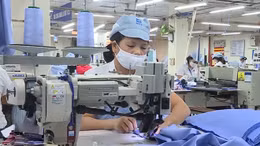 Xử phạt tới 50 triệu đồng doanh nghiệp trả lương không đúng hạn cho người lao động