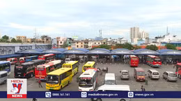 Hà Nội: Tước giấy phép lái xe ô tô gần 800 trường hợp vi phạm