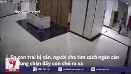 Chủ chó thả rông đánh cư dân nhập viện